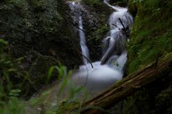 Wald & Wasserfälle